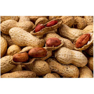 Cacahuetes Secos Crudos de Última Cosecha, Deliciosos, Frescos, de Color Rosa Claro, con un Sabor Grasoso y Típico - Product Image 5