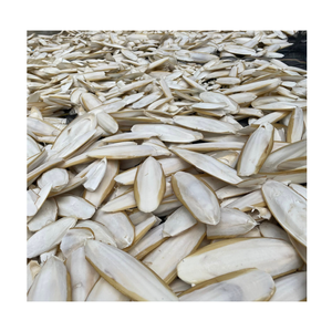 Seiche séchée entière 20-40cm, haute teneur en protéines, fruits de mer en vrac, qualité supérieure, origine Vietnam, riches en vitamines, durée de conservation 2 ans - Product Image 1