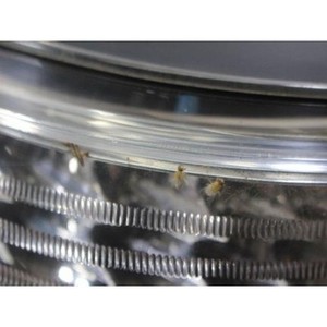 ไฟท้ายซ้ายมือสอง รุ่น 5 ซีรีส์ รหัส 63217361881 - Product Image 3