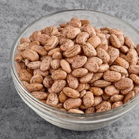Haricots Pinto Prêts à Consommer Prêts à l'Expédition Produit de Haute Qualité Haricots Pinto de Qualité Supérieure à Vendre