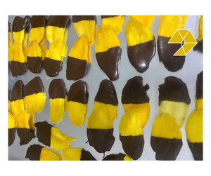 Snack de Fruta Natural Suave de Mango Deshidratado con Chocolate y Cacahuete, Proveedor de Vietnam, Choco Mango Tropical - Product Image 1