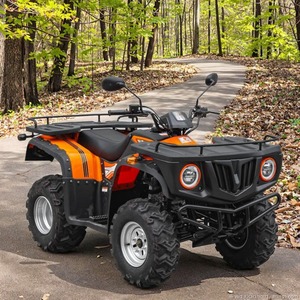 Caja de Carga de 600 kg, 16 Unidades/40HQ, Ideal para Minería Agrícola y Transporte Rural, ATV de Gasolina de 16 HP y 229 cc, 4 Tiempos, 2WD, Transmisión Manual por Eje, Diferencial - Product Image 1