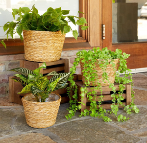 Pots de rangement de jardin en jacinthe d'eau naturelle de style rétro, fabriqués au Vietnam, avec poignées, tissés à la main, durables, pour l'extérieur, écologiques - Product Image 4