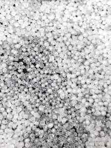 Copolímero de Polipropileno (PPC) Virgen, Materia Prima - Product Image 3