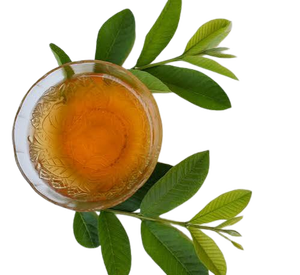 Té de Hoja de Guayaba Premium, Secado al Sol, Empaque con Cierre, Venta al Por Mayor, Calidad de Exportación, Fabricante Vietnamita, Empaque Personalizado - Product Image 5