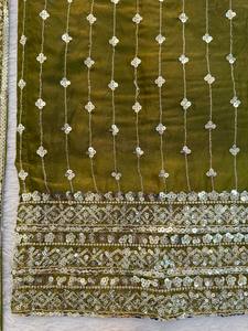 Conjunto de Traje Festivo de Lujo Moderno con Hilo Viscoso Pesado y Lentejuelas, Ideal para Bodas y Diwali, con Dupatta - Product Image 6