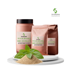 Poudre d'extrait de Tulsi sauvage 100% qualité supérieure, très demandée, service OEM de marque privée disponible en gros - Product Image 2