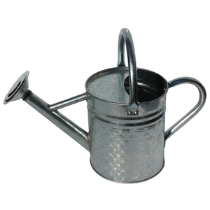 <b>Set</b> Of 2 Green Galvanized Metal Watering Cans With Wooden Handles <b>Garden</b> Plant Waterer For Indoor & Outdoor Use In Lowest Price - Product Image 2