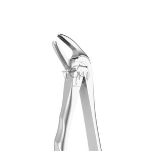 Pinzas de Extracción de Precisión de Acero Inoxidable, Herramienta Dental con Diseño Ergonómico para Procedimientos de Extracción Dental - Product Image 6