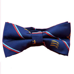 Cravate de cérémonie maçonnique fabriquée en usine, design classique, 100% soie, cravates maçonniques pour hommes - Product Image 4