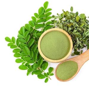Polvo de Hoja de Curry 100% Puro de Alta Calidad, Extraído con Solvente, Grado Alimenticio, Extracto Herbal para Procesamiento de Alimentos y Aplicaciones Dietéticas - Product Image 1