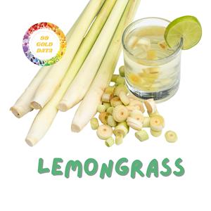 ใบตะไคร้แห้งคุณภาพสูงจากเวียดนามสำหรับทำอาหาร ขายส่ง - Product Image 5