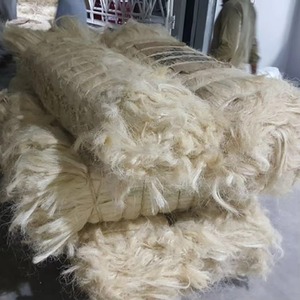 Fibre de sisal naturelle de qualité supérieure pour cordes, ficelles, brosses et matériaux bruts d'artisanat, emballage en vrac pour les acheteurs du monde entier - Product Image 6