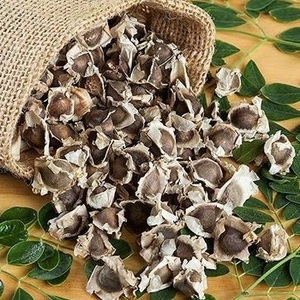 Semilla Natural de Moringa Oleifera - Product Image 1