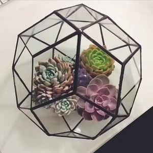 Terrarium en verre et métal design, élégant support de plantes d'intérieur, décoration géométrique pour la maison - Product Image 3