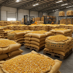 Maíz Amarillo Premium para Consumo Humano y Alimentación Animal, Venta al por Mayor, Exportación, Suministro a Granel, Grano de Maíz Natural de Alta Calidad - Product Image 3