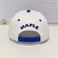 Sport Curved Brim 5 6 Panel 100% algodón personalizado 3D bordado carta logo Gorras papá gorra de béisbol gorras para hombres