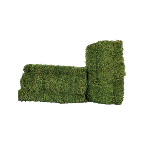 High Quality <b>Dried</b> Rhodes <b>Grass</b> Hay Feed Grade Top Grade Forage with 2 Year Shelf Life for Agricultural and Commercial Use - Product Image 4