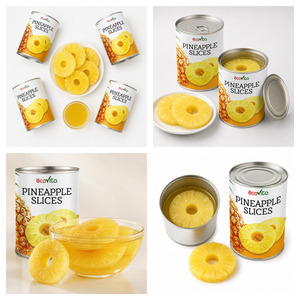 Best Rate Hot Sale Best Quality Canned Pineapple Slices in Pineapple Juice Packed in Various Size Can - Product Image 6