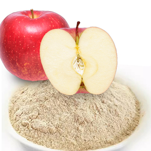 HOT SELLING FOOD GRADE APPLE POWDER 100% PURE APPLE JUICE POWDER FOR BEVERAGE MAKING - Product Image 1