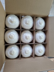 Noix de coco fraîches naturelles de qualité supérieure de Ben Tre Vietnam Goût doux vert Meilleure vente en gros Prêt pour l'exportation avec diamant coupé/non coupé - Product Image 6