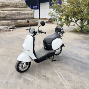 แร็คสัมภาระด้านหลัง M-Biker พร้อมพนักพิงสำหรับผู้โดยสารสำหรับสกู๊ตเตอร์ไฟฟ้า VinFast Motio ทำจากเหล็ก ทนทาน - Product Image 4