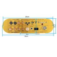 2.1 Kanallı Yüksek Güçlü D Sınıfı Ev Amplifikatör Kartı D900 Süper Subwoofer, 5.0 Alüminyum Alaşımlı 12V Voltaj Çıkışlı
