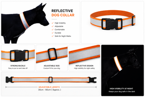 Collar Reflectante Impermeable para Perro 3M, OEM ODM, Logotipo Personalizado, Collar Ajustable de PVC para Mascotas, Fabricante Directo - Product Image 2