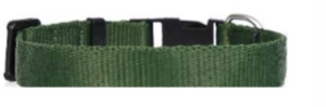 Collar de Perro Ajustable de Nailon Smart Fit para Todas las Razas y Tamaños de Divine International - Product Image 1