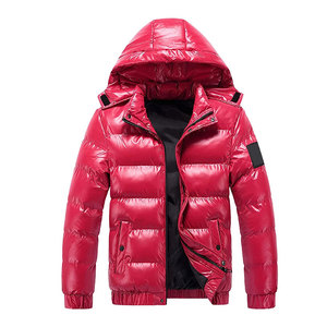 Veste d'hiver matelassée brillante de haute qualité avec capuche, isolée, respirante, éco-responsable, fermeture éclair, OEM ODM, vêtements d'extérieur personnalisés - Product Image 1