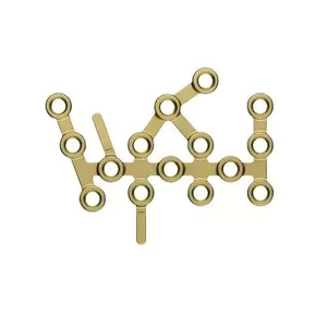 Plaque osseuse orthopédique vétérinaire pour fixation des fractures, implant en acier inoxydable avec verrou de sécurité calcaneen DETAIN IMPEX DI-SS-R-70 CE - Product Image 3