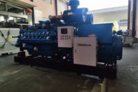 Générateur au gaz Baudouin 50/60Hz, tension nominale 1000Kw, 1500/1800 tr/min, haute efficacité, type ouvert/silencieux, démarrage automatique, générateur à turbine