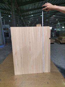 Mueble de Cocina Moderno con Base de Madera Clara, Construcción de Panel MDF, Estilo Shaker, Modelo BC2901 L, Unidad de Almacenamiento para Cocina - Product Image 4