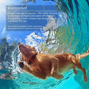 Collare di Addestramento per Cani da 2700 FT, Ecologico, Ricaricabile, Impermeabile, con LCD, Personalizzabile, con Telecomando, in Silicone e Plastica - Product Image 5