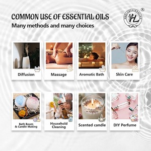 <b>Cinnamon</b> Essential Oil Steam Distilled Botanical Oil for Cosmetic Personal Care Fragrance Aromatherapy and Bulk Supply - Product Image 4