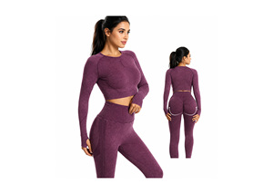 <b>Womens</b> Seamless Ribbed Quick Dry Spandex/Nylon Gym Set Long Sleeve <b>Crop</b> Top High Waist <b>Leggings</b> Yoga Fitness Sportswear - Product Image 2