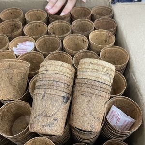 Pots en fibre de coco 2026 très demandés pour le démarrage des semis et le soutien de la croissance des racines – Matériau propre, sûr et écologique - Product Image 6
