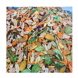 Mélange de chips de fruits et légumes séchés vietnamiens VF, marque 99 GOLD DATA, emballage sous vide 500g, commandes en gros, importateurs alimentaires, marque privée - Product Image 1