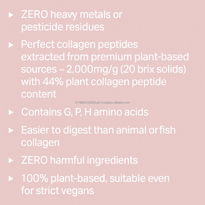 Supplément quotidien de collation de beauté à base de plantes en bâton gommeux de collagène végétalien coréen - Product Image 5