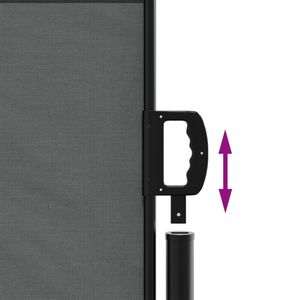 Tenda Laterale Retrattile Antracite Modello D0100H50FAT - Product Image 6