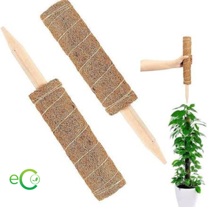 Mejor Precio: Poste de Fibra de Coco Natural para Soporte de Plantas – Poste de Coco Ecológico DIY de ECO2GO VIETNAM - Product Image 5