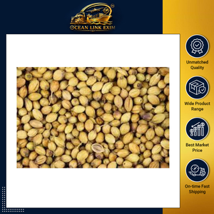 Graines de coriandre entières naturelles de qualité alimentaire supérieure, épice séchée pour l'assaisonnement, le traitement et l'exportation - Product Image 2