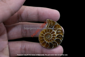 Polished Ammonite Slices Brown Natural Organic Gemstones for <b>Jewellery</b> Making <b>Shell</b> Loose Cabochon Gemstone FAIJAN GEMS - Product Image 2