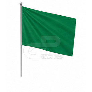 Kit de supporter de football élégant et promotionnel, conçu pour les passionnés de football, avec maillot, casquette, écharpe, ballon et accessoires de drapeau pour les événements - Product Image 6