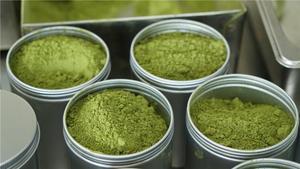 Té Verde Matcha en Polvo a Precio Competitivo para Cocinar, Hornear, Preparar Lattes, Smoothies, Bebidas Calientes y Frías - Product Image 3