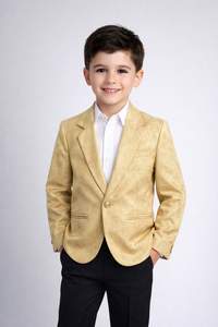 Blazer doré texturé pour garçons, veste de costume formelle à simple boutonnage avec revers cranté en tissu peigné, idéal pour les fêtes et banquets - Product Image 1
