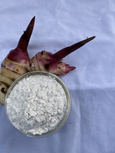 Amidon de marante de qualité supérieure, farine blanche en poudre, type naturel, fabriqué au Vietnam - Product Image 2