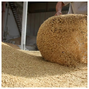 Soybean Meal Non-GMO Animal Feed High Protein Feed Ingredient Livestock Poultry Wholesale Bulk Supply Export poultry feed ingred - Product Image 4