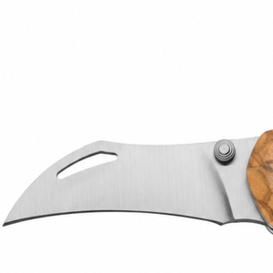 Couteaux pliants pour la cueillette des champignons avec lame incurvée en acier inoxydable, manche en bois et brosse de nettoyage pour la cueillette en plein air - Product Image 2