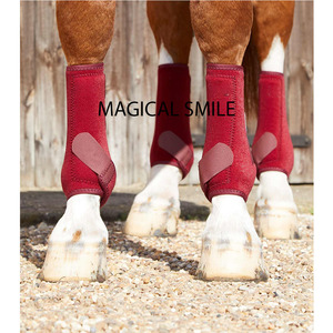 Bottes de protection pour chevaux de haute qualité, très respirantes, excellente qualité, utilisées par les professionnels dans tous les types d'équitation - Product Image 2